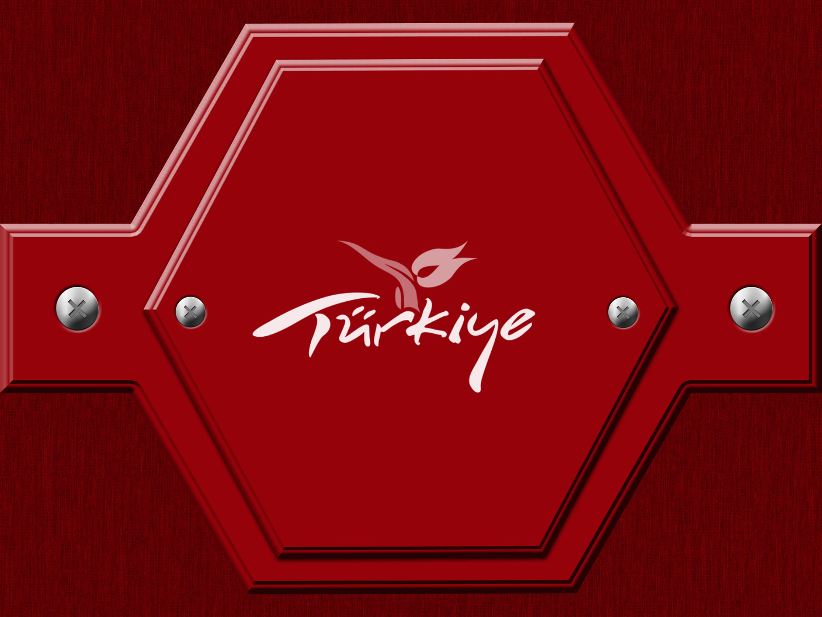 Dosya Adı: Türkiye Bayrağı Atatürk Silueti Resimleri V200720250257-N8.jpg
Dosya Boyutu: 268.27 KB
07-20-2025, 04:07 AM