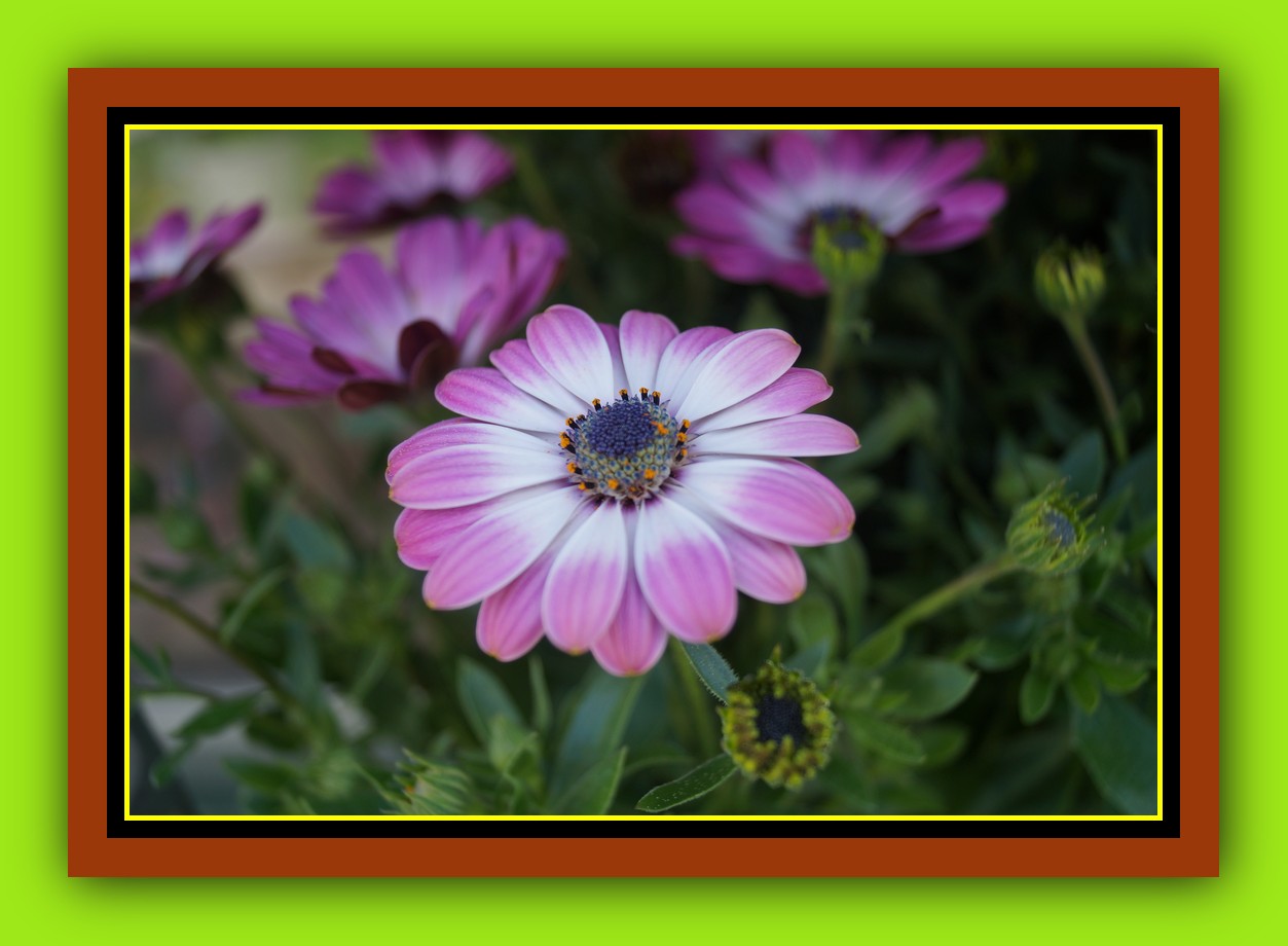 Dosya Adı: Cicekler-Kartpostal-Resimi-V110520221430-N94.jpg
Dosya Boyutu: 181.98 KB
10-23-2025, 03:27 PM